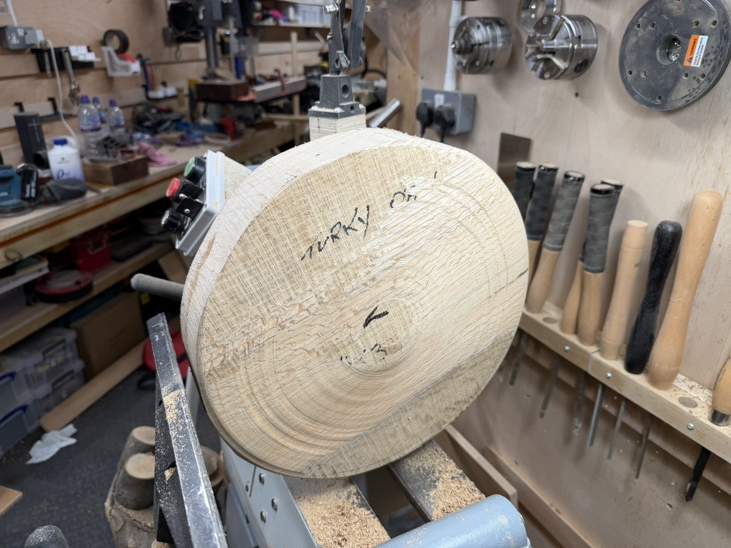 The turkey oak blank on the lathe, marked up before turning