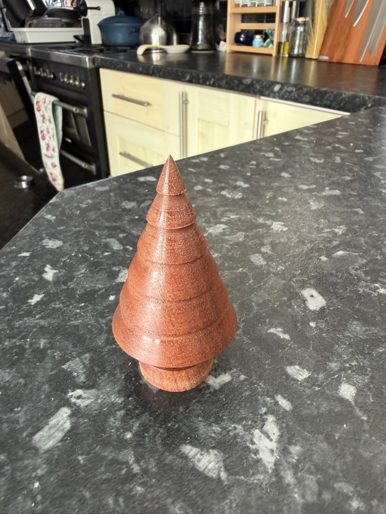 Small Sapele Traditional Tree