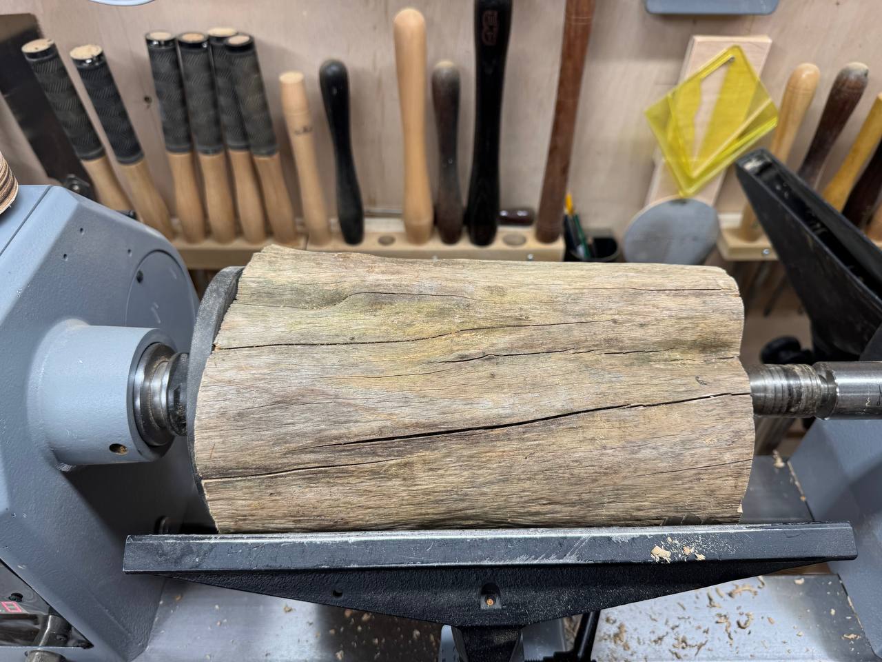The raw yew branch mounted on the lathe